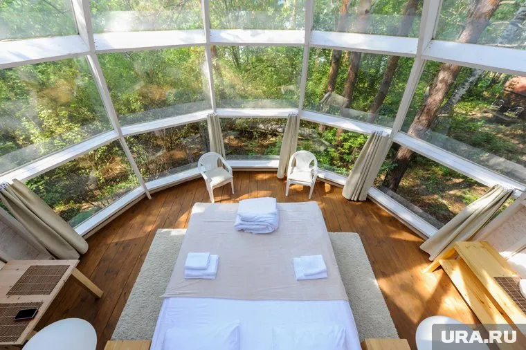 Домики с видом на сосны, вместе с территорией и другой инфраструктурой, готовы отдать за 33 млн рублей (архивное фото)