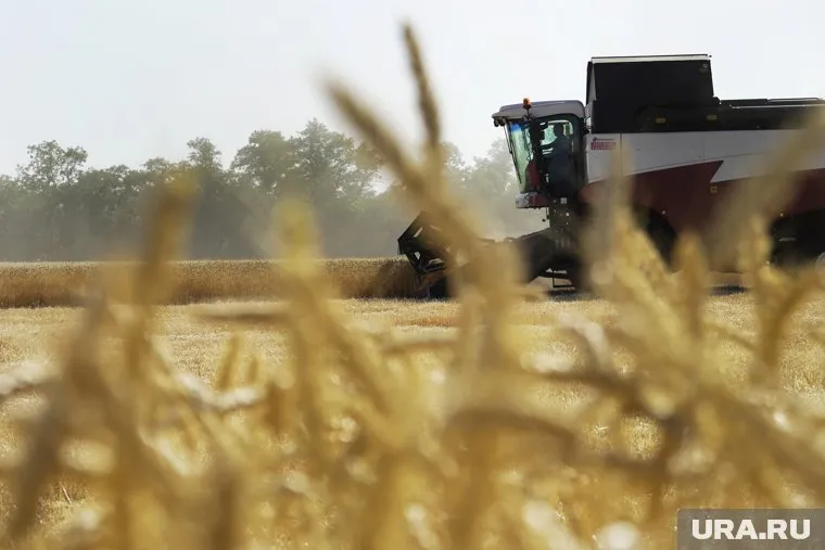 Эмбарго на поставки украинского зерна отменено, заявили в Еврокомиссии