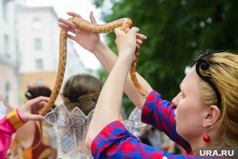 Змея обвила шею ребенка и укусила в лицо (архивное фото)