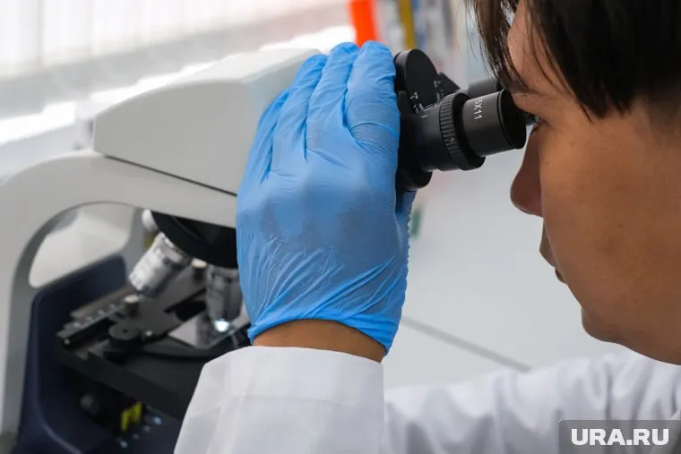 В Китае обнаружили новый штамм оспы обезьян