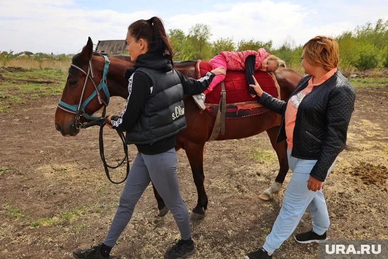 Курганцы призывают сохранить конный клуб, который под угрозой закрытия из-за отказа мэрии в аренде