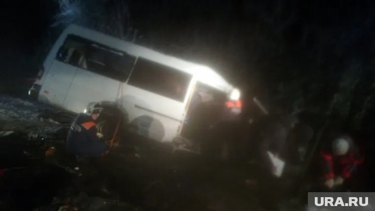 От удара микроавтобус, полный пассажиров, оказался в кювете