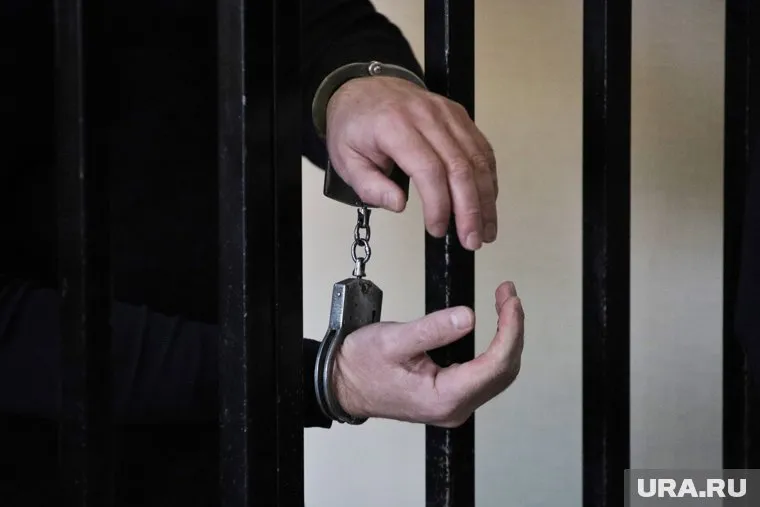 Владимир Мау арестован