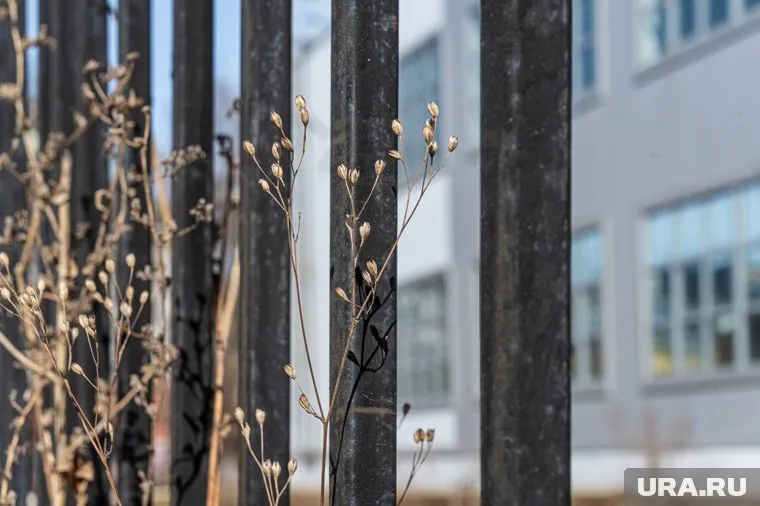 На севере края будет +1°С, а на юге — до +22°С.