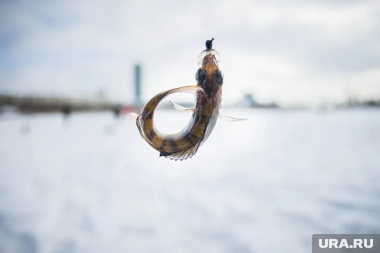 Рыбалка является хобби для многих знаменитостей
