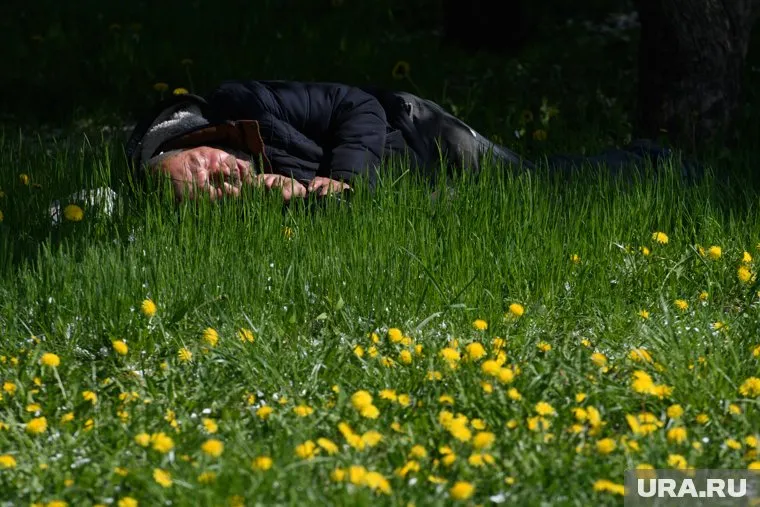 Власти обратили внимание на жалобы горожан