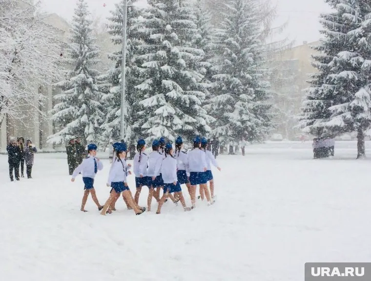 По словам организаторов, они «никого не заставляли»