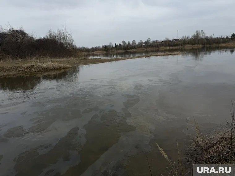 Нефть губит природу в Шуралке