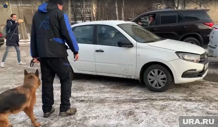 Вероятные скупщики голосов брызнули в местного жителя газом из баллончика