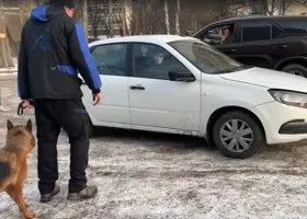 На выборах в Екатеринбурге напали на горожанина