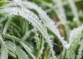 В Пермском крае в ближайшие дни ожидают похолодание до минус 15 градусов