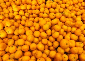 Фотография из галереи