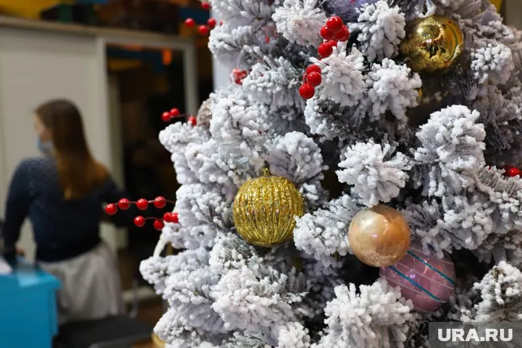 Елку к новому году важно установить правильно