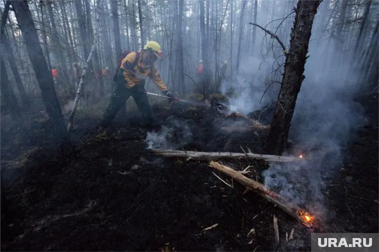 Смог от пожаров уже доходит до Тюменской области (архивное фото)