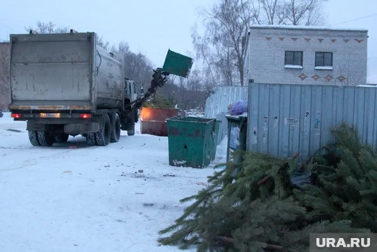 Новогоднюю ель можно утилизировать с пользой