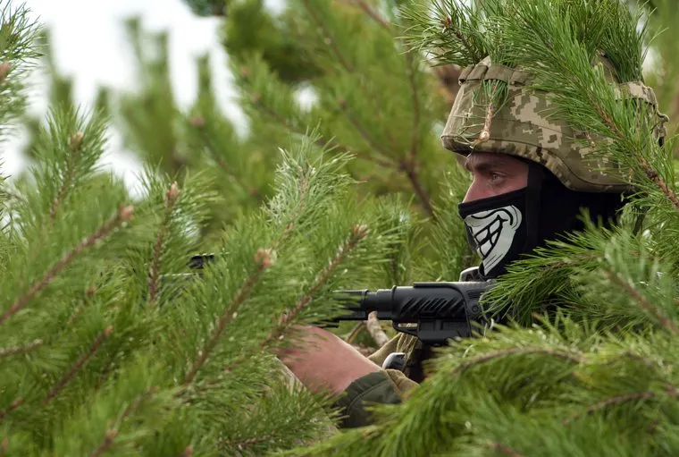 Вооруженные силы Украины. stock