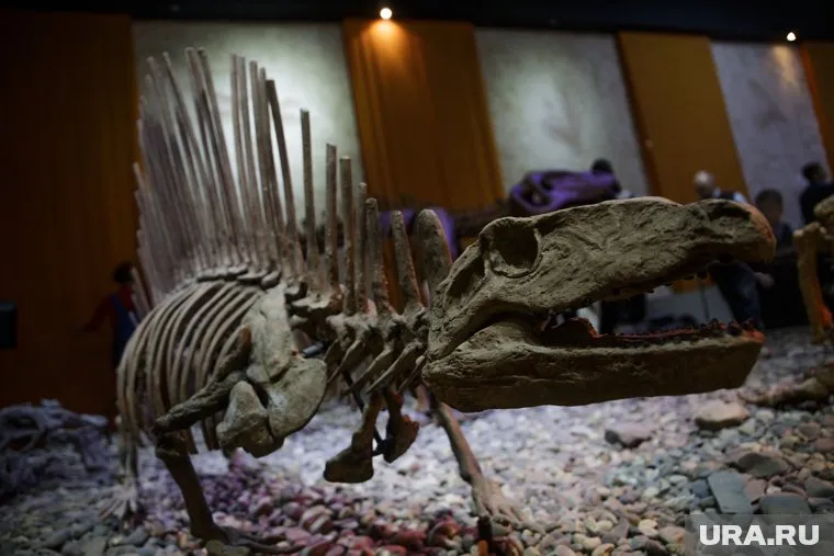 В результате катаклизма вымерли 73% наземных позвоночных