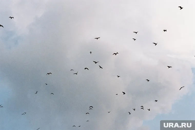 В Севастополе объявлена воздушная тревога