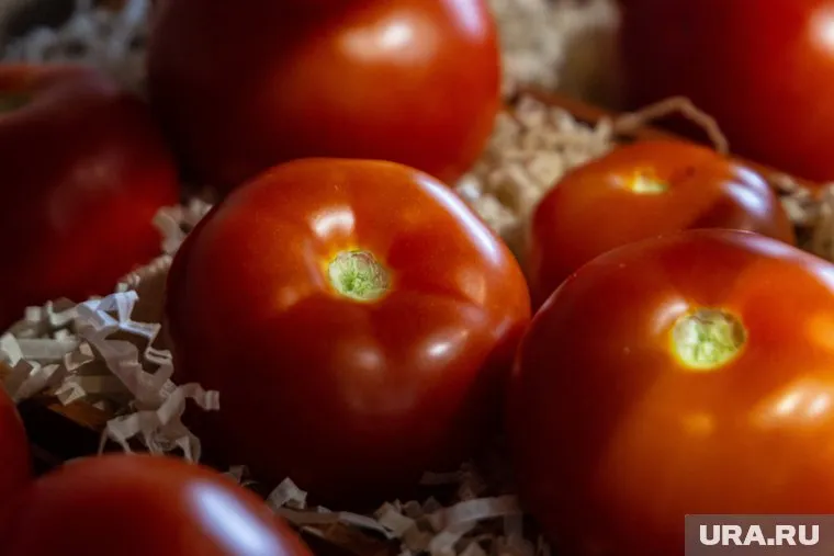 Югорчанин отсудил у сети компенсацию за просроченные помидоры