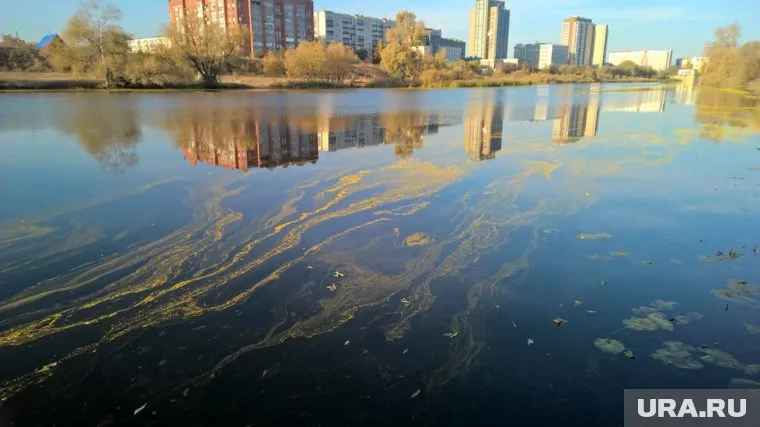 В Росприроднадзоре пообещали найти виновников