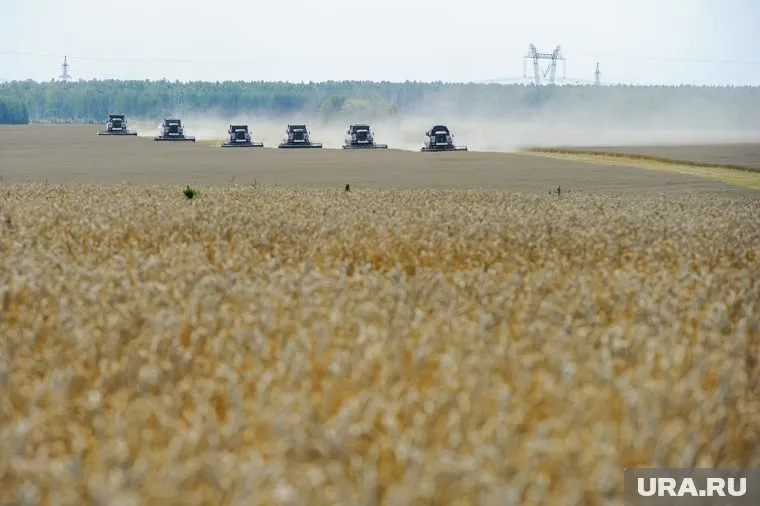 Возросшая конкуренция со стороны РФ угрожает благосостоянию американских фермеров