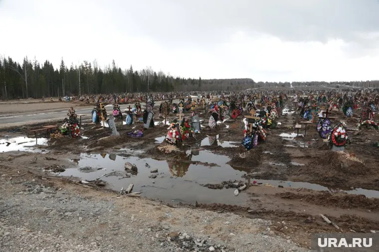 Затопления кладбищ приводят к загрязнению грунтовых вод трупными ядами, предупредила Елена Есина