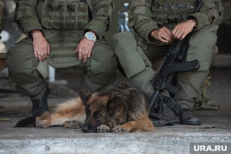 Войска РФ освободили Богдановку в ходе ожесточенных боев, сообщают военкоры (архивное фото)