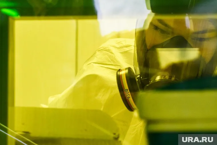 Ученым нужно провести исследования, если они хотят проверить, когда появился COVID-19