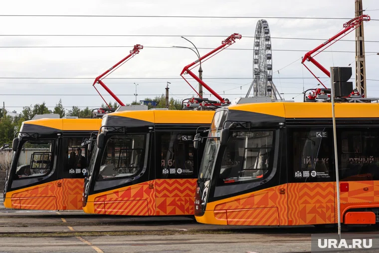 Власти хотят обновить весь трамвайный парк