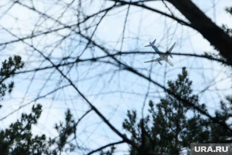 Какие рейсы задерживаются 30 октября