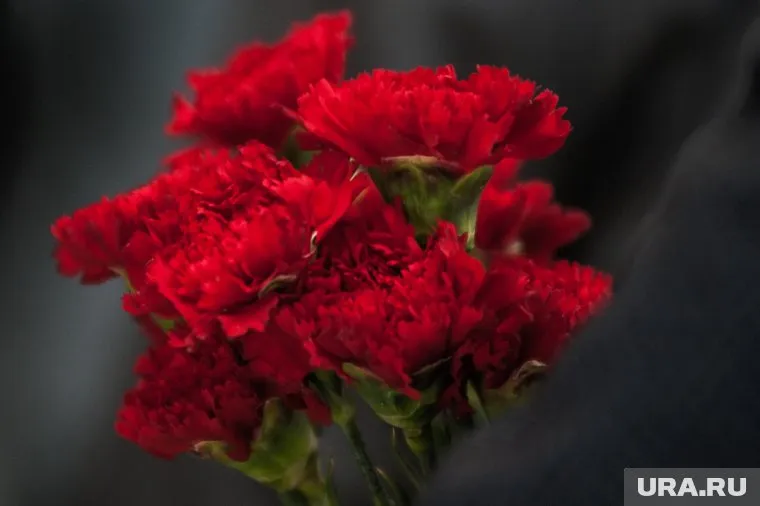 Владимир Боев будет похоронен на малой родине, в Осе