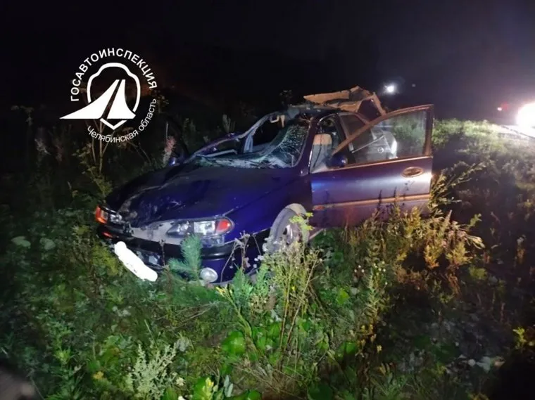 Иномарка сбила лося на дороге Касли – Красноуфимск