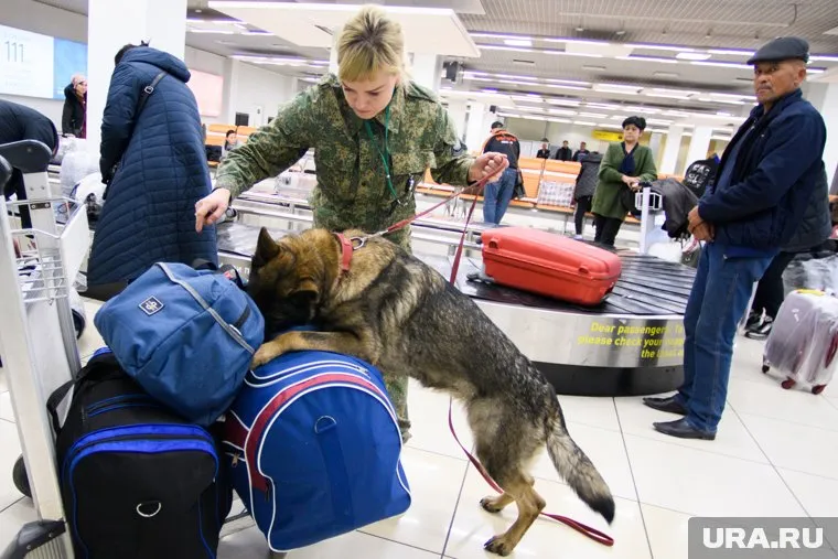 Российских туристов тщательно обыскивают перед вылетом из Египта