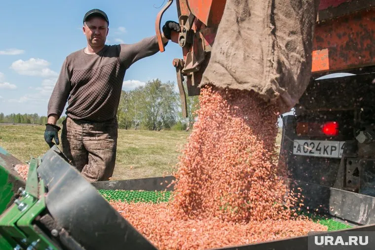 У посевной в Зауралье — неожиданный итог