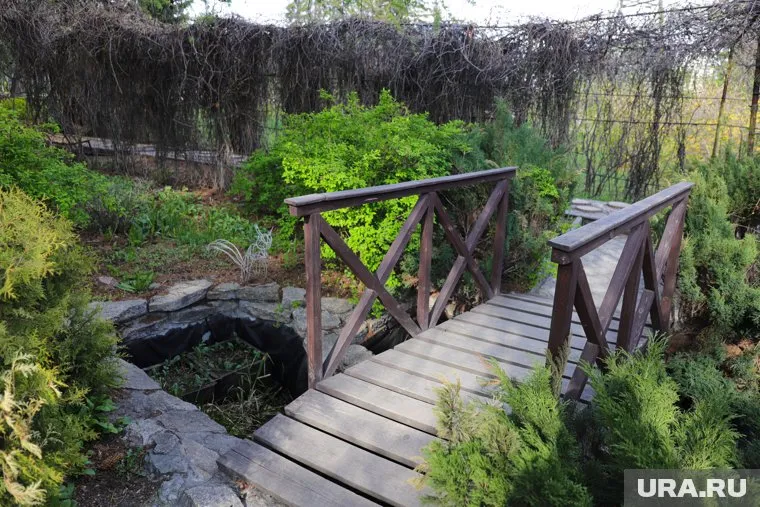 Сад соловьев ждут бюджетные вливания (архивное фото)