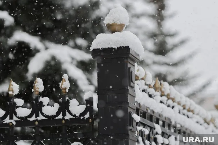 Сегодня вечером в Челябинской области начнется снег, местами осадки будут сильными