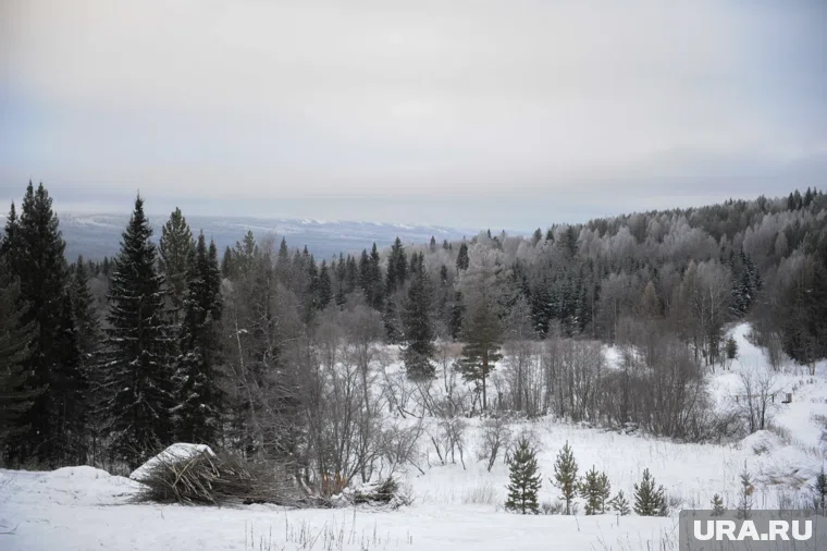 Усольцевы могли заблудиться из-за отсутствия средств навигации