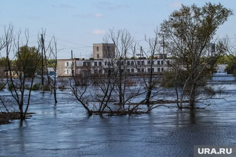 Сибиряков обещали защитить от наводнений не меньше, чем на сто лет (архивное фото)