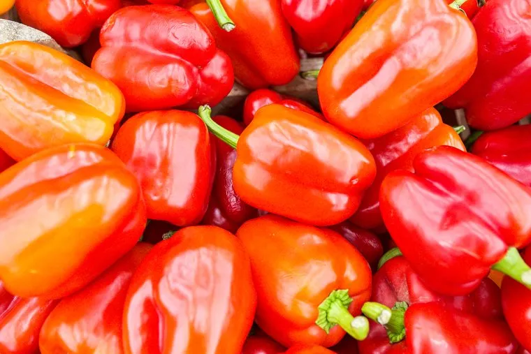 Продукты, овощи и фрукты. Тюмень