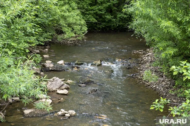 Красивая горная река страдает от выбросов химикатов с комбината