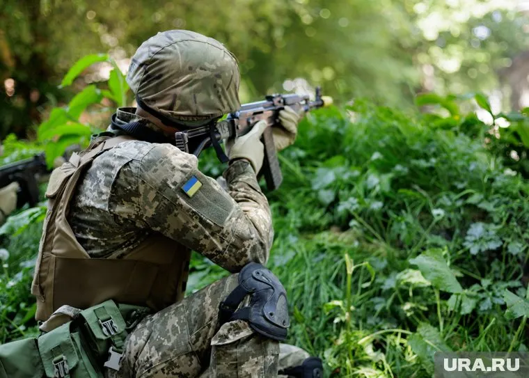 Украиским солдатам мешает растительность в зоне спецоперации, следует из материала