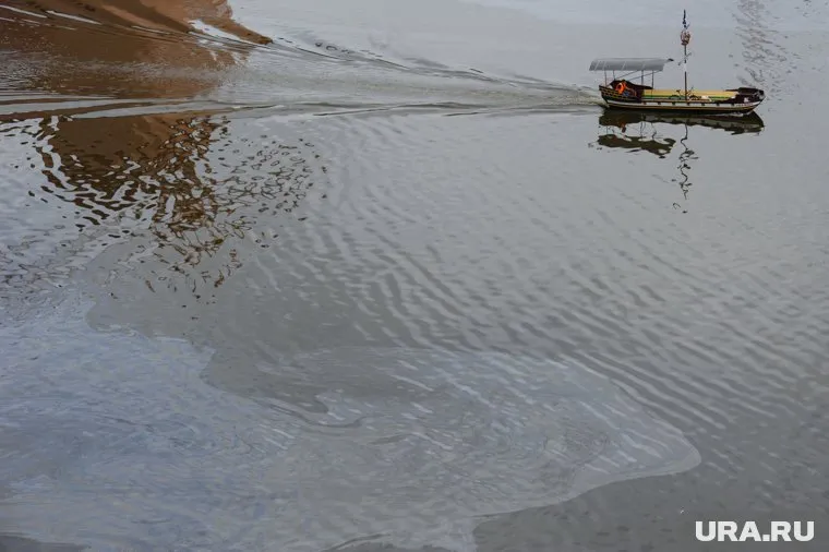 Масляное пятно растеклось по Яйве