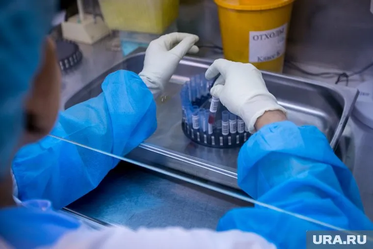 Анатолий Альтштейн заявил, что расшифровка генома коронавируса российскими учеными не окажет заметного влияния на существующие разработки вакцины