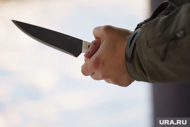 Подозреваемые в убийстве супругов Новак заявили, что готовили вечеринку