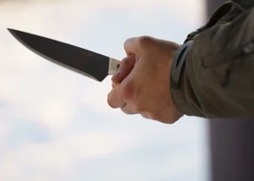 Фотография из галереи