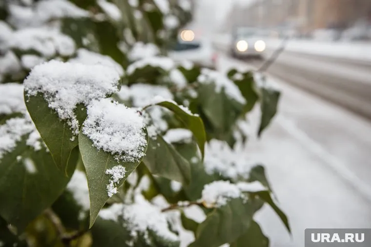 Первый снег в Челябинской области обнаружили утром 23 сентября