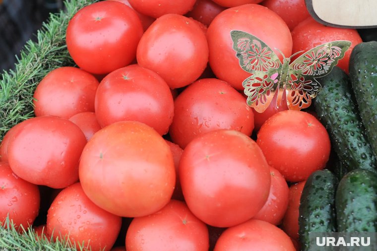 Росстат отметил рост цен на продукты