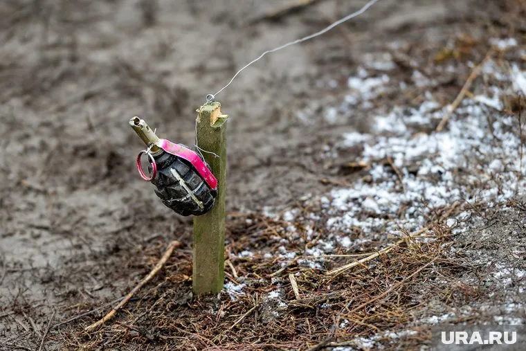 Заморозки не повлияют на проведение СВО, сказал Песков
