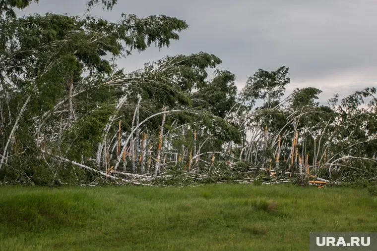 Порывы ветра в регионе будут достигать скорости 23 м/с