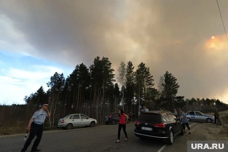 Курганская область не готова к тушению лесных пожаров
